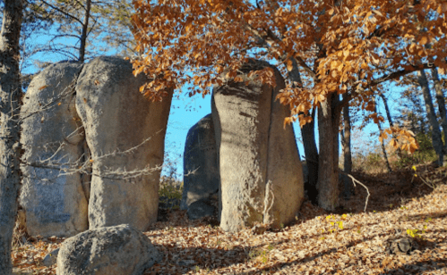 Large boulders surrounded by autumn foliage and trees, with fallen leaves covering the ground.