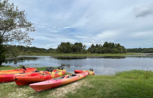 Five colorful kayaks are lined up on the shore of a calm river, surrounded by lush greenery and a cloudy sky.
