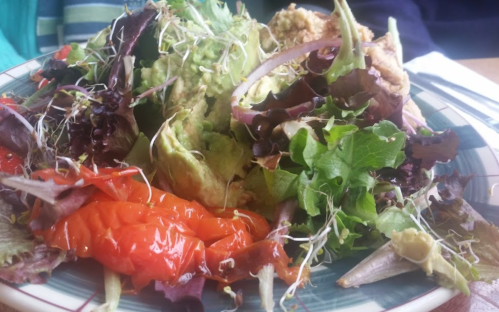 A colorful salad with mixed greens, avocado, sprouts, and roasted red peppers on a plate.