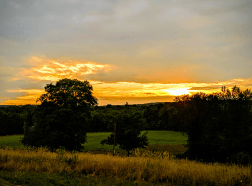 A serene landscape at sunset, featuring a golden sky, lush green fields, and silhouetted trees.