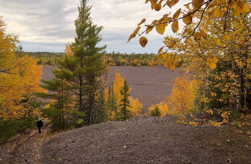 A person walks along a path surrounded by vibrant autumn trees, leading to a scenic view of a field.