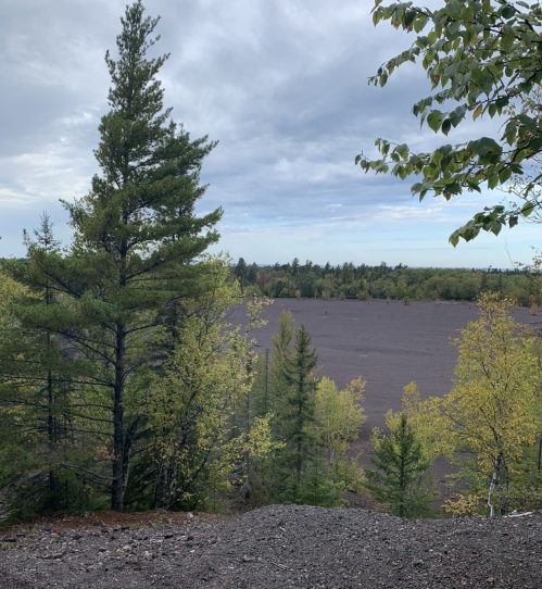 A view of a vast, gray landscape surrounded by green trees under a cloudy sky.