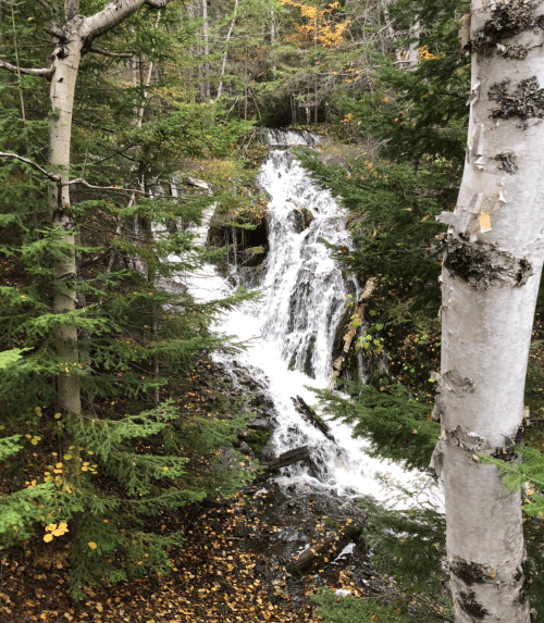 A serene waterfall cascades through a forest, surrounded by trees and autumn leaves.