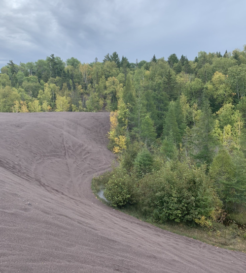 A sloped, sandy area with purple hues, bordered by lush green trees under a cloudy sky.