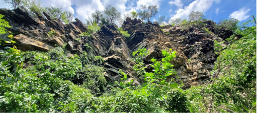 Lush greenery surrounds a rocky cliff under a bright blue sky with scattered clouds.
