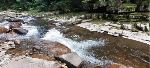 A serene river flows over rocky terrain, surrounded by lush greenery and moss-covered stones.