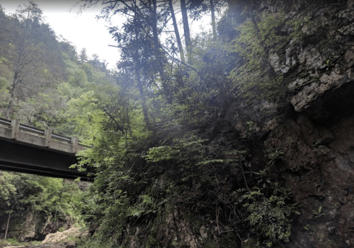 A lush green landscape with a rocky cliff and a bridge overhead, surrounded by trees and foliage.