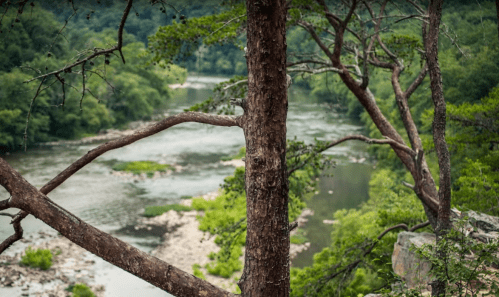 A scenic view of a river winding through lush greenery, framed by trees in the foreground.