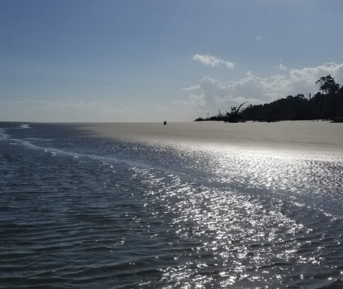 A serene beach scene with shimmering water, gentle waves, and a clear sky, lined with trees in the background.