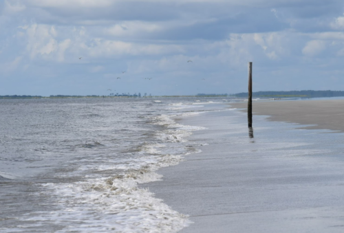A serene beach scene with gentle waves, a lone post in the water, and a cloudy sky in the background.