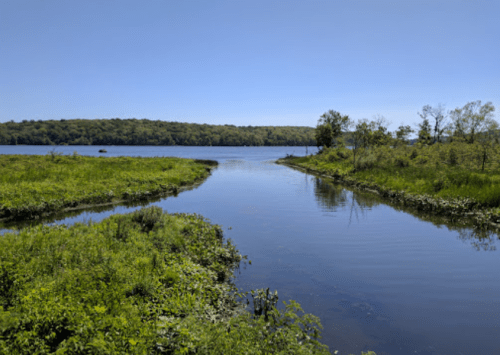 A serene river winding through lush green banks under a clear blue sky.