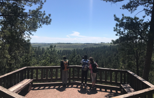 Three hikers stand on a wooden overlook, gazing at a scenic view of trees and open fields under a clear blue sky.