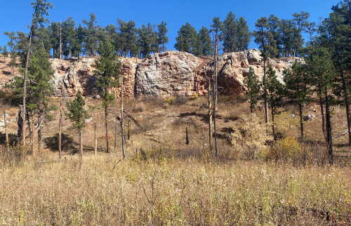 Rocky cliffside with sparse trees and dry grass under a clear blue sky.