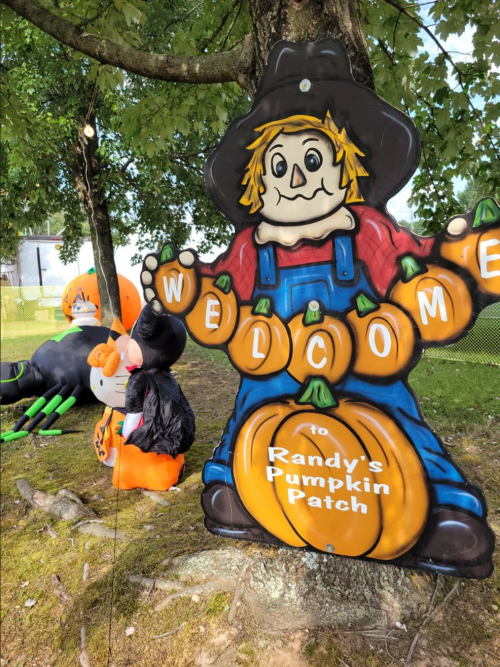 A colorful scarecrow sign welcomes visitors to Randy's Pumpkin Patch, surrounded by festive decorations and pumpkins.