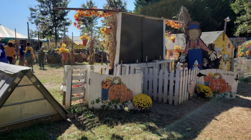 A festive outdoor scene with pumpkins, fall decorations, and a scarecrow near a white picket fence.