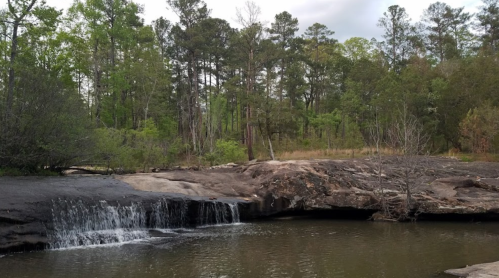 A serene landscape featuring a small waterfall cascading over rocks into a calm pool, surrounded by lush greenery.