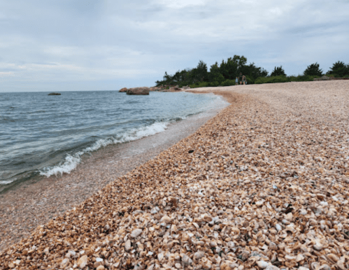 A pebbly beach with gentle waves lapping at the shore, surrounded by trees under a cloudy sky.