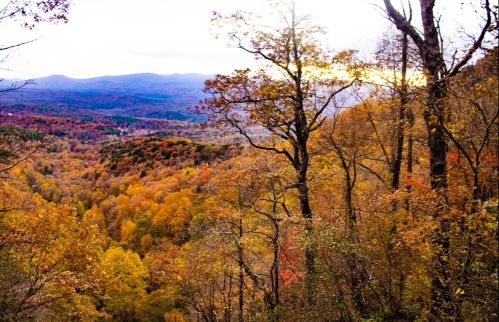 A scenic view of a colorful autumn landscape with trees in vibrant shades of orange, yellow, and red.