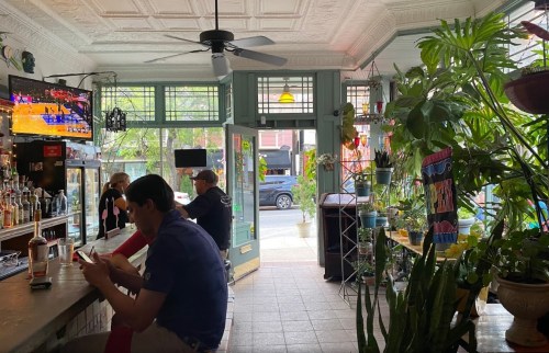A cozy bar with plants, a TV showing a game, and patrons enjoying drinks at the counter and tables.