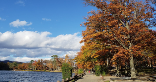 A scenic lakeside view with vibrant autumn trees and a clear blue sky.