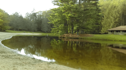 A serene lake surrounded by trees, with a sandy shore and a cabin in the background, reflecting the landscape.
