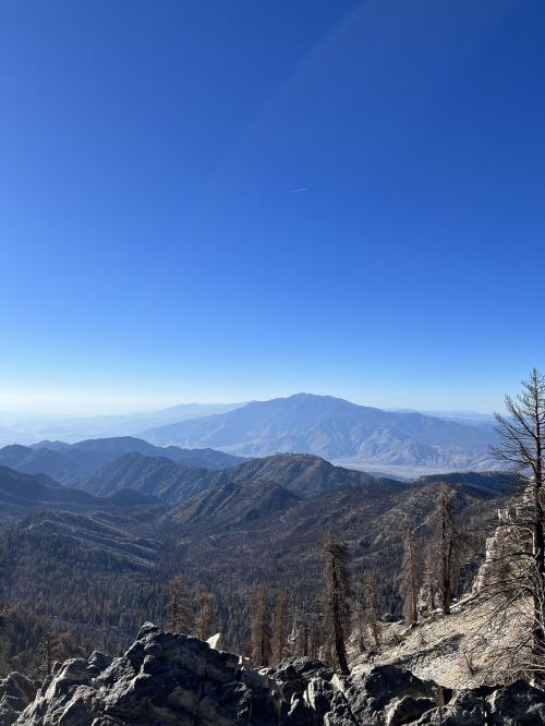 A panoramic view of mountains under a clear blue sky, with charred trees in the foreground and distant peaks.