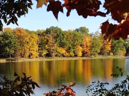 A serene lake surrounded by trees displaying vibrant autumn colors, reflecting on the water's surface.