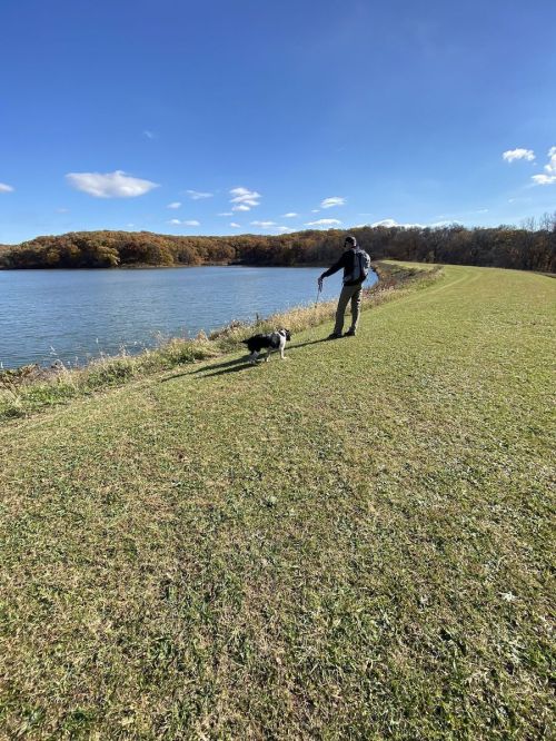 A person walks a dog along a grassy path by a calm lake under a clear blue sky.