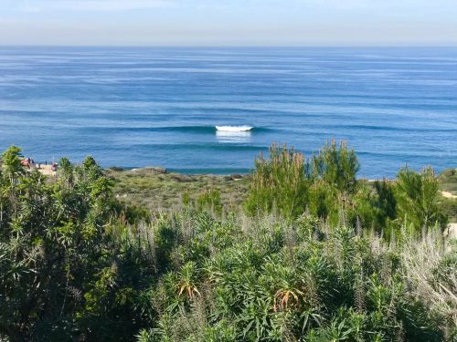 A serene coastal view featuring calm blue waters, gentle waves, and lush greenery in the foreground.