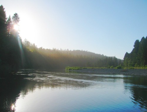 A serene river scene with sunlight filtering through trees, reflecting on calm water and distant hills.