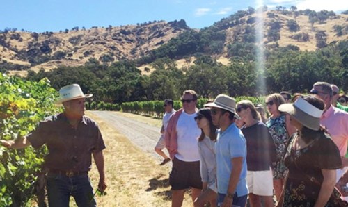 A vineyard tour group listens to a guide, surrounded by lush vines and rolling hills under a sunny sky.