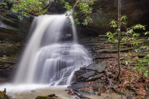A serene waterfall cascades over rocky ledges, surrounded by lush greenery in a tranquil forest setting.