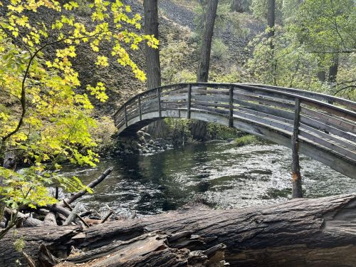 A wooden bridge arches over a serene stream, surrounded by trees and autumn foliage.