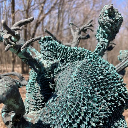 Close-up of a textured bronze sculpture resembling coral, with intricate details and a patina finish, set in a wooded area.