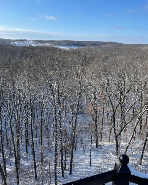 A snowy landscape with bare trees under a clear blue sky, showcasing a serene winter scene.