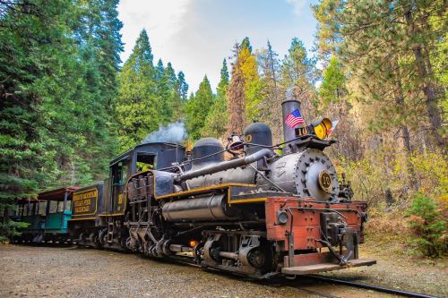 A vintage steam locomotive with a black and gold exterior, surrounded by tall trees and autumn foliage.