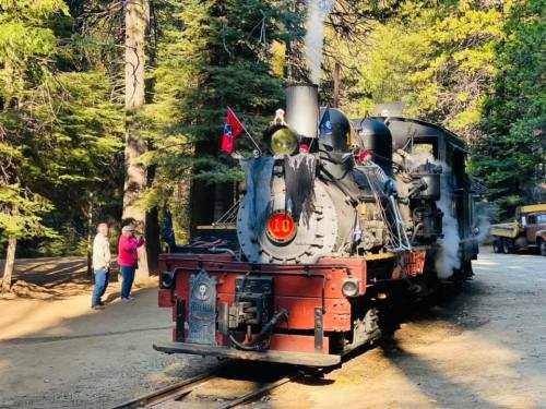 A vintage steam locomotive with flags, surrounded by trees, with people observing nearby.