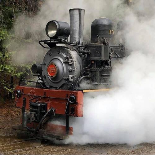 A vintage steam locomotive emits steam while parked in a forested area.