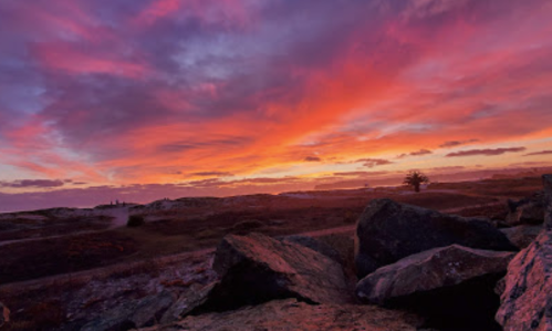 A vibrant sunset paints the sky in shades of orange and purple over a rocky landscape with a lone tree in the distance.
