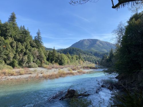 A serene river flows through a lush green landscape, with mountains in the background under a clear blue sky.