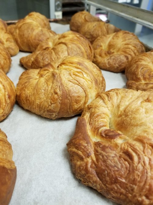 Freshly baked croissants arranged on a baking sheet, showcasing their golden, flaky layers.