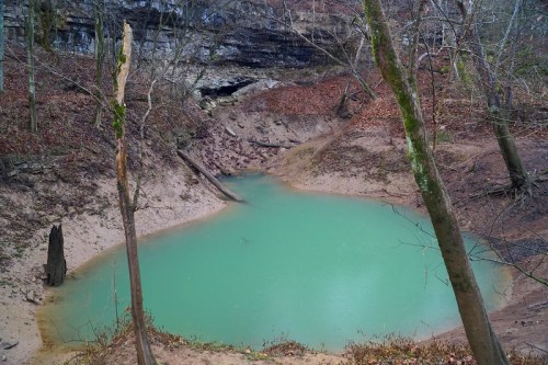 A serene, turquoise pond surrounded by bare trees and rocky cliffs, with fallen leaves scattered on the ground.