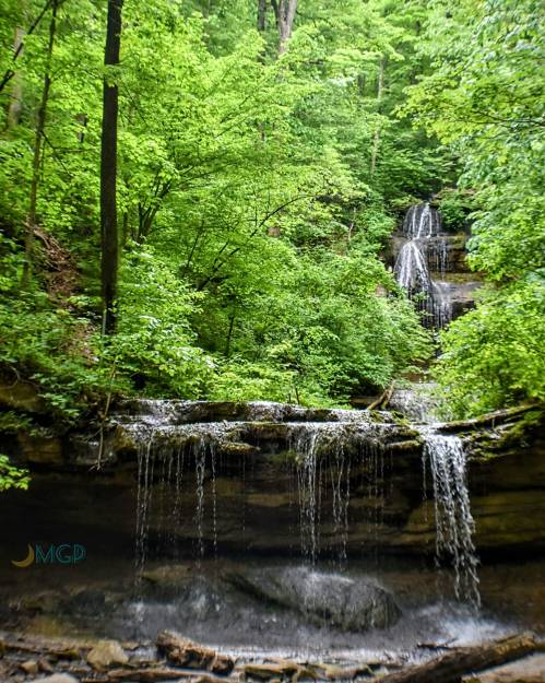 A serene forest scene featuring cascading waterfalls surrounded by lush green trees.