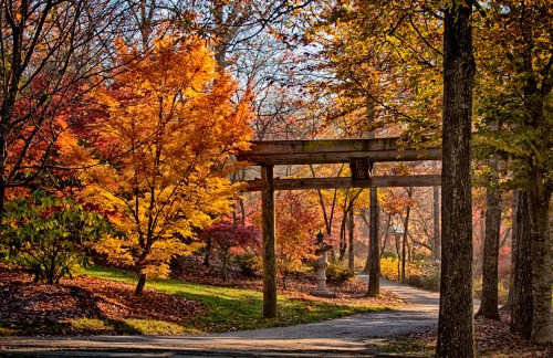 A serene pathway through a colorful autumn forest, featuring vibrant orange and yellow leaves and a wooden archway.