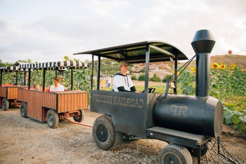 A small train with a black engine and wooden cars, parked in a field with sunflowers and a cloudy sky.