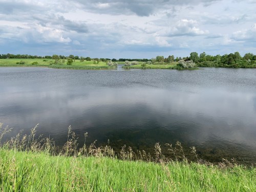 A serene landscape featuring a calm lake surrounded by lush greenery and cloudy skies.