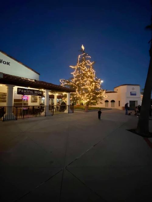 A brightly lit Christmas tree stands in a plaza at dusk, with nearby buildings and a person walking in the background.