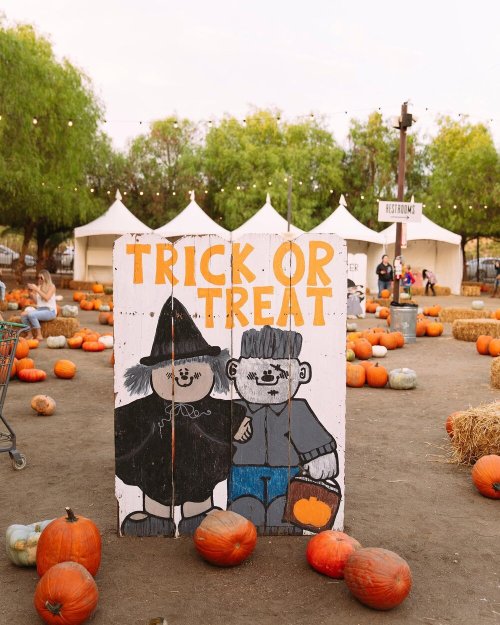 A colorful "Trick or Treat" sign featuring a witch and a boy, surrounded by pumpkins and festive decorations.