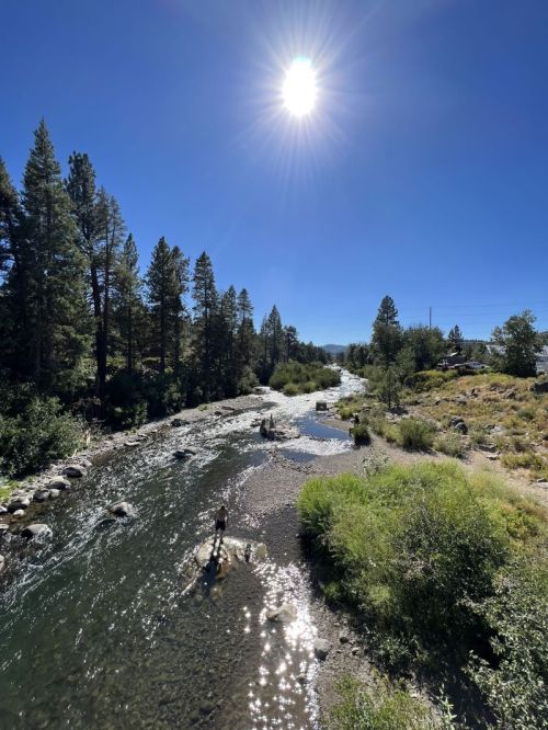 A sunlit river flows through a forested area, with a person standing on a rock in the water.