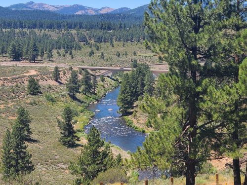 A scenic view of a river winding through a green landscape, surrounded by trees and mountains in the background.